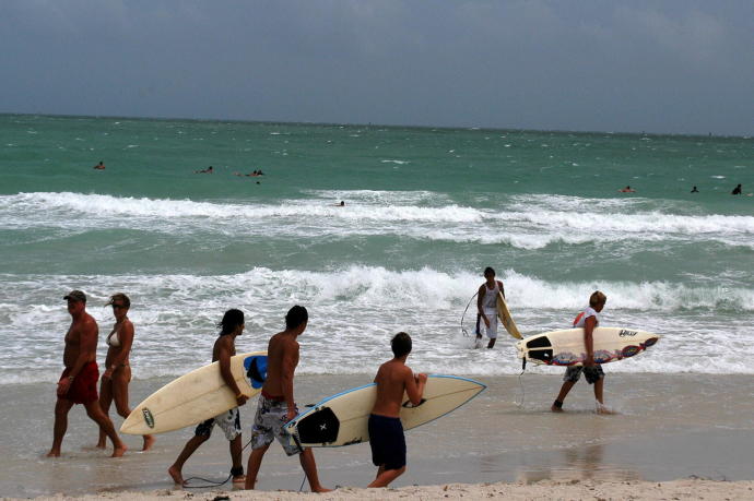 El riesgo de ser mordido por un escualo aumenta si uno practica el surf u otro deporte con tabla.