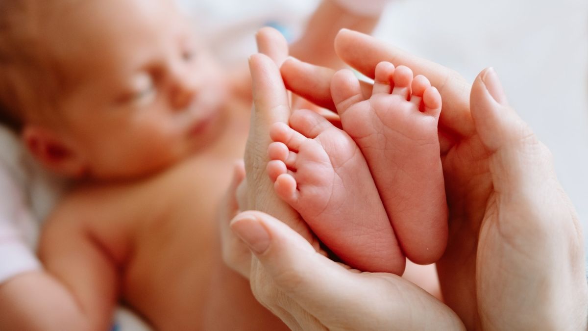 La media es de 1,19 hijos, lo que no garantiza el reemplazo generacional.