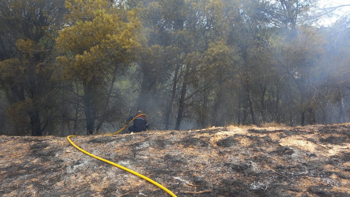 Un bombero desciente hasta la ladera quemada.