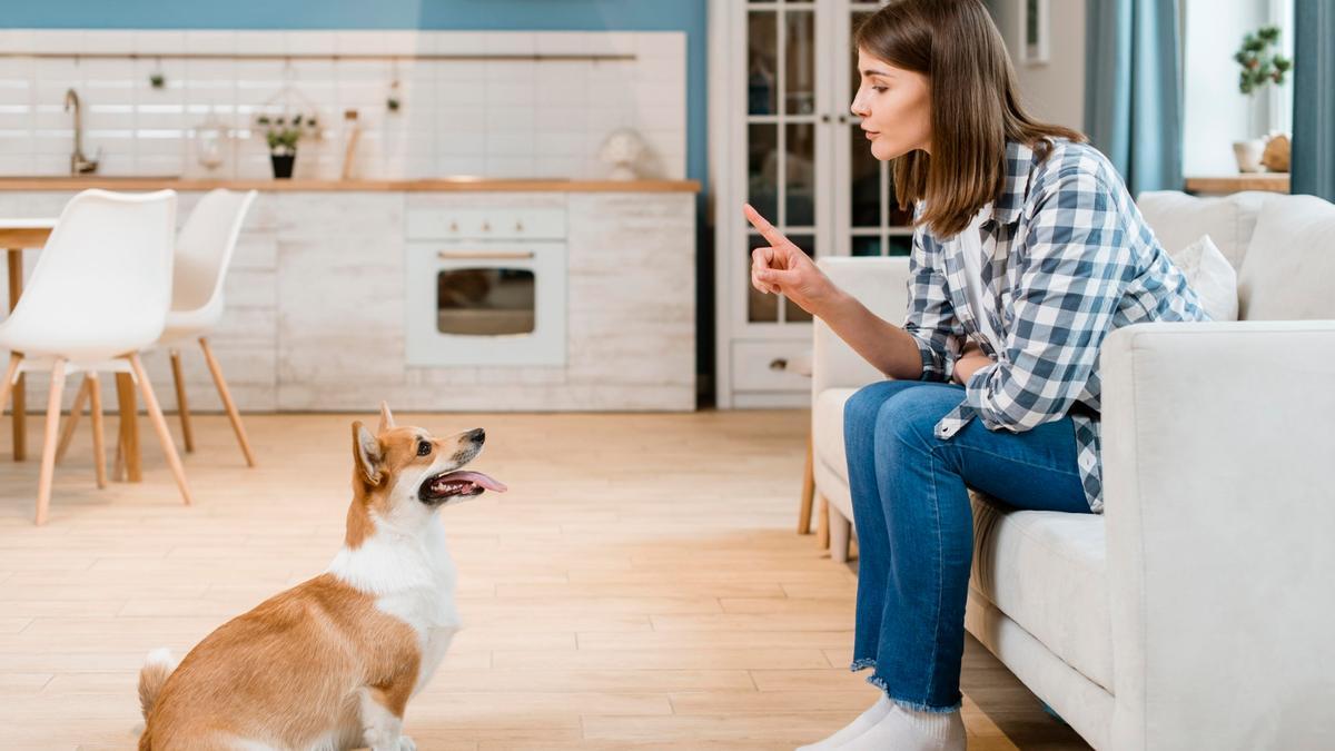 El cursillo busca que el futuro dueño conozca la responsabilidad de cuidar de un perro.