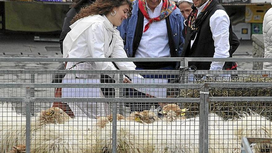 La feria de Año Nuevo regresa a Deba por todo lo alto