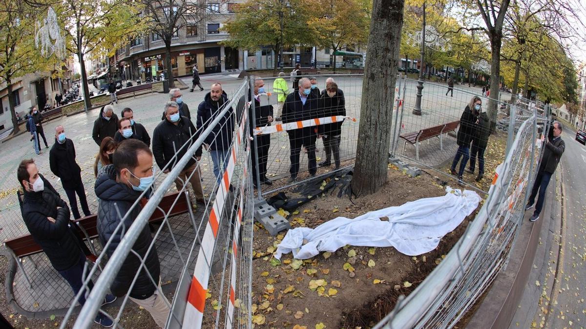 La Comisión de Urbanismo del Ayuntamiento de Pamplona visita el paseo de Sarasate para conocer el trabajo realizado en las catas de arbolado