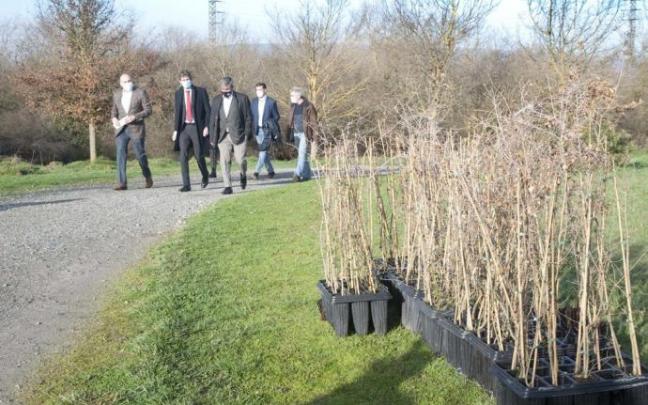 Plantación de árboles en Zabalgana.