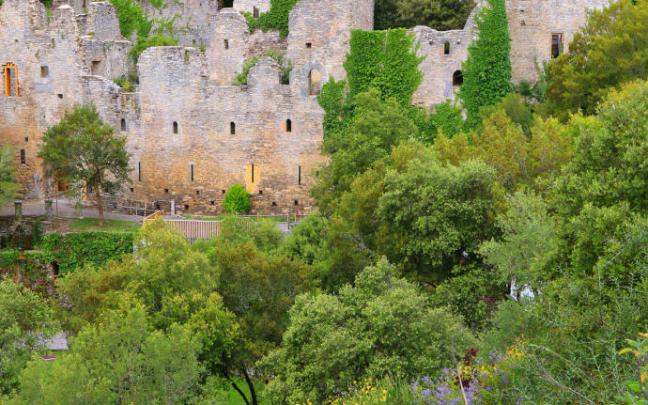 Descubre Iruña de Oca, historia y naturaleza a un paso Descubre Iruña de Oca, historia y naturaleza a un paso