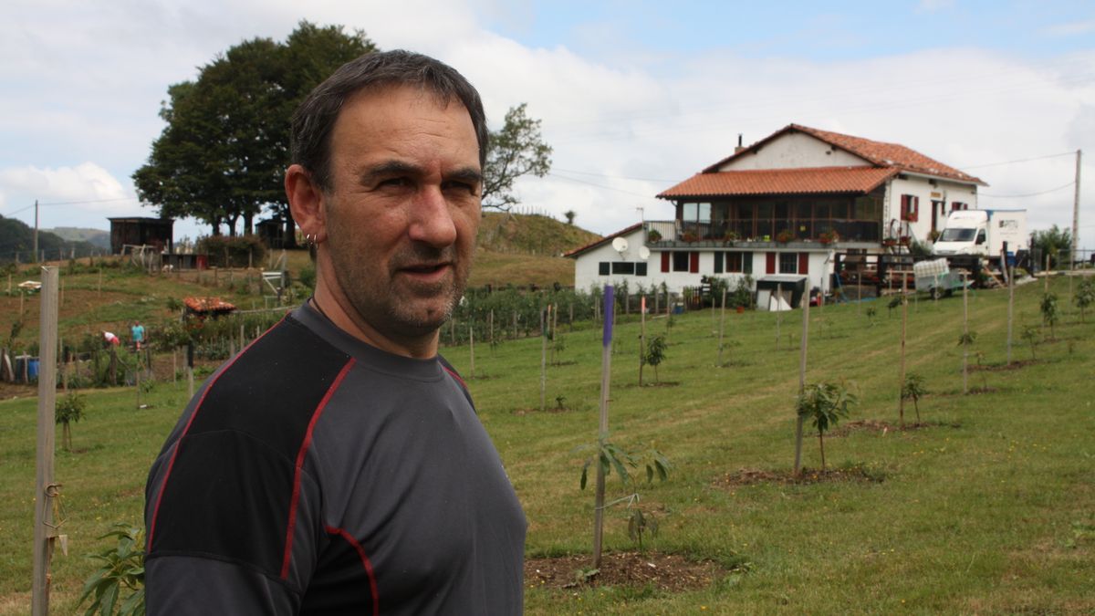 Xixo Ayestaran, junto a los árboles de aguacate de su caserío en Lesaka