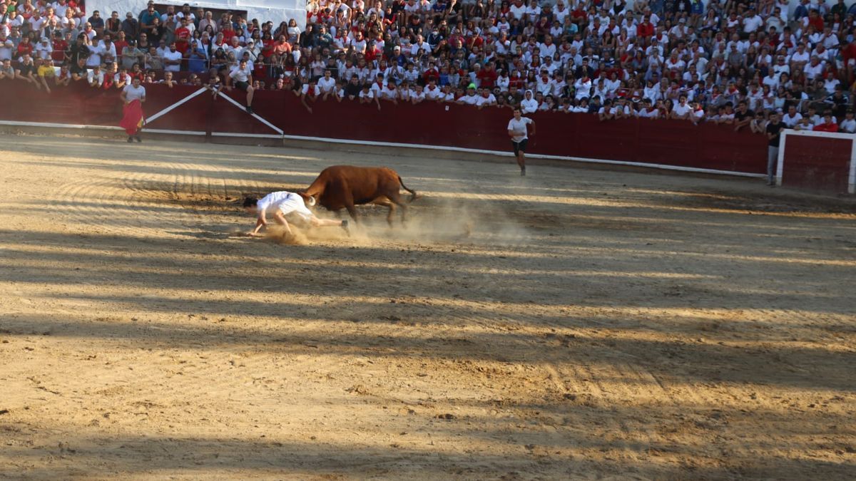 Un joven cae durante la suelta de vacas en Estella.