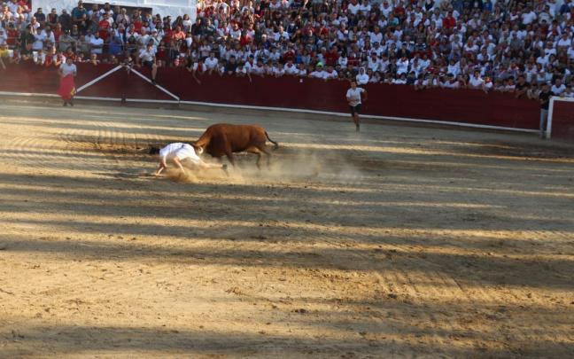 Un joven cae durante la suelta de vacas en Estella.
