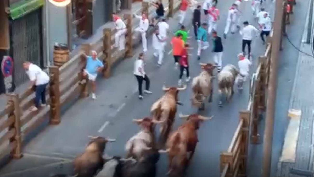 Un hombre es volteado por un toro en el segundo encierro de las fiestas de Tudela