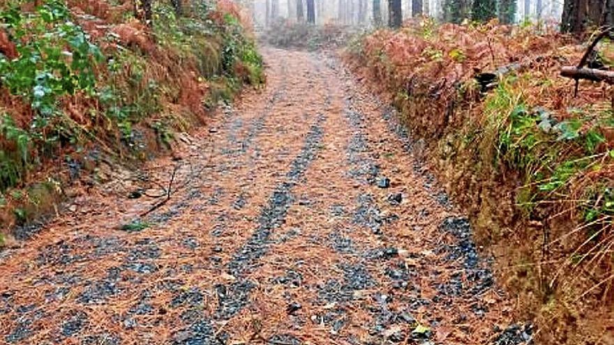 Se han estudiado 21 caminos rurales. | FOTO: AYUNTAMIENTO DE IDIAZABAL