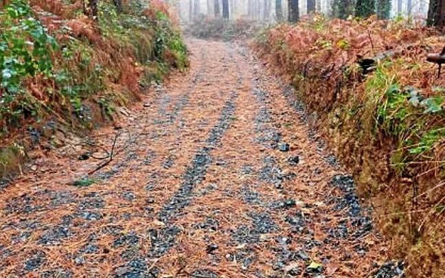 Se han estudiado 21 caminos rurales. | FOTO: AYUNTAMIENTO DE IDIAZABAL Se han estudiado 21 caminos rurales. | FOTO: AYUNTAMIENTO DE IDIAZABAL