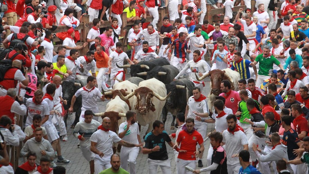 Encierro del día 14 de Julio de 2019 con toros de la ganadería de Miura