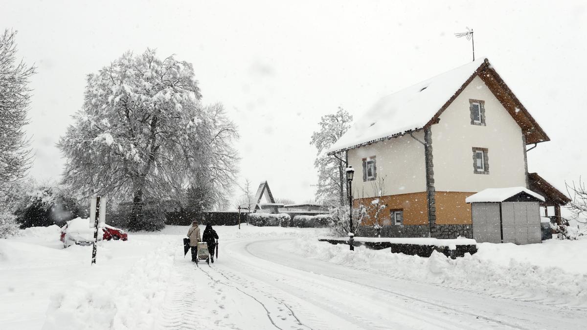 Nieve en el norte de Navarra este martes 16 de enero.