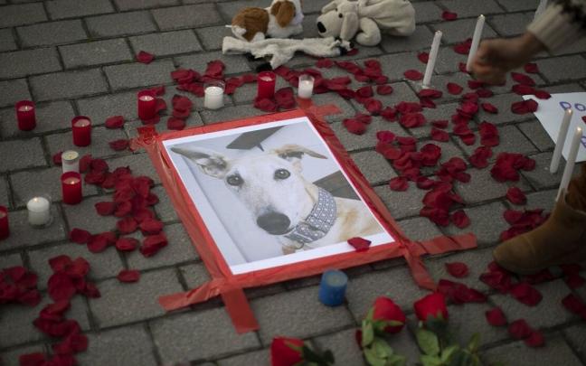 Concentracion en la plaza del ayuntamiento de Noáin por la muerte de Duna. Concentracion en la plaza del ayuntamiento de Noáin por la muerte de Duna.