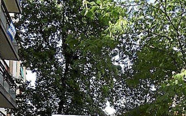 Biain y Garitano, ayer. | FOTO: A.D.