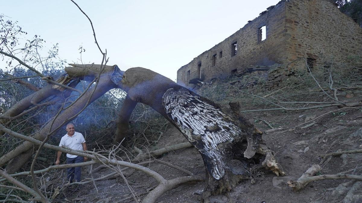 Balmaseda y Zalla evalúan los daños del peor incendio en Bizkaia en 33 años