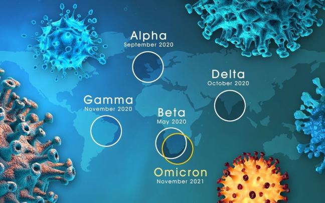 Una vacuna universal adaptada a todas las posibles variantes del coronavirus es el reto inmediato. Una vacuna universal adaptada a todas las posibles variantes del coronavirus es el reto inmediato.