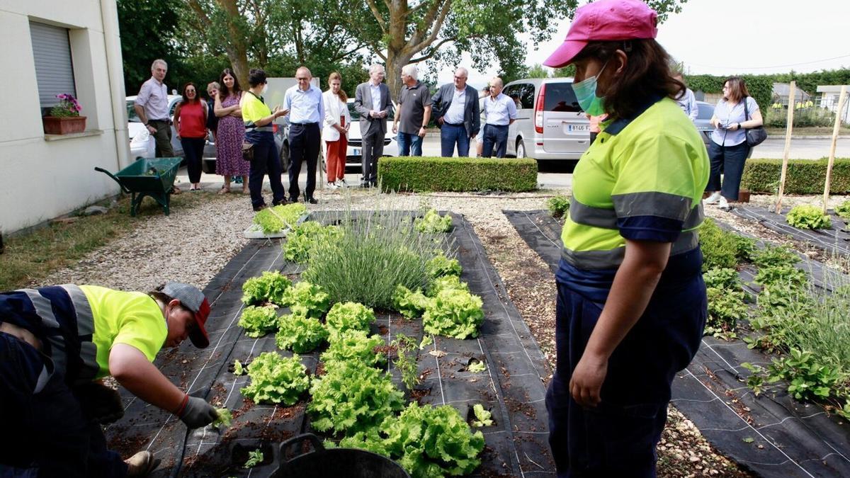 Huertas ocupacionales de Indesa en Arbulo