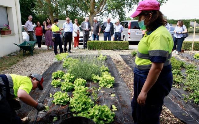 Huertas ocupacionales de Indesa en Arbulo