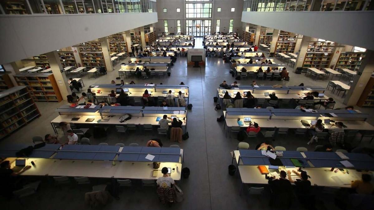 Estudiantes de la UPNA, en la biblioteca.