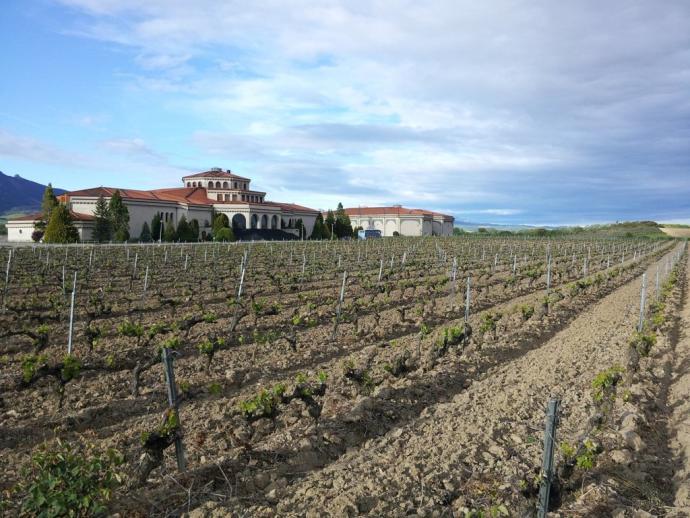 Panorámica de las instalaciones de Bodegas Campillo.