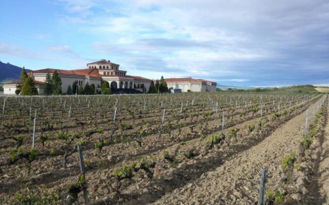 Panorámica de las instalaciones de Bodegas Campillo. Panorámica de las instalaciones de Bodegas Campillo.