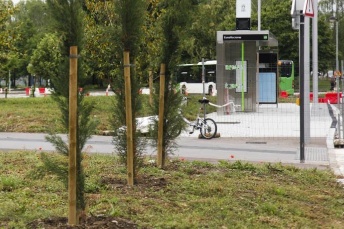 Árboles plantados en el corredor verde paralelo al Bus Eléctrico Inteligente (BEI).