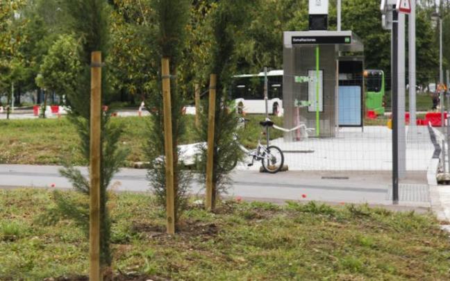 Árboles plantados en el corredor verde paralelo al Bus Eléctrico Inteligente (BEI).