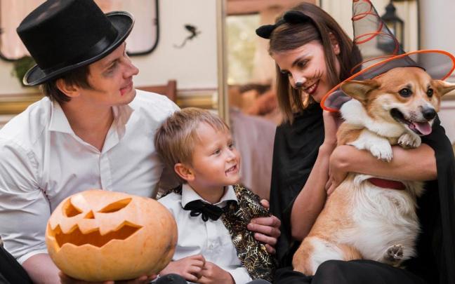 En muchas familias las mascotas participan activamente de las fiestas.