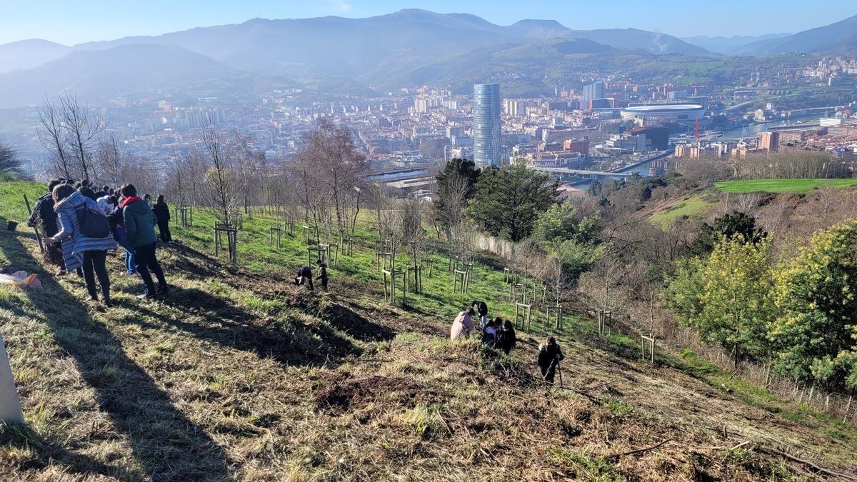 Plantación de nuevos árboles en el anillo verde de Bilbao