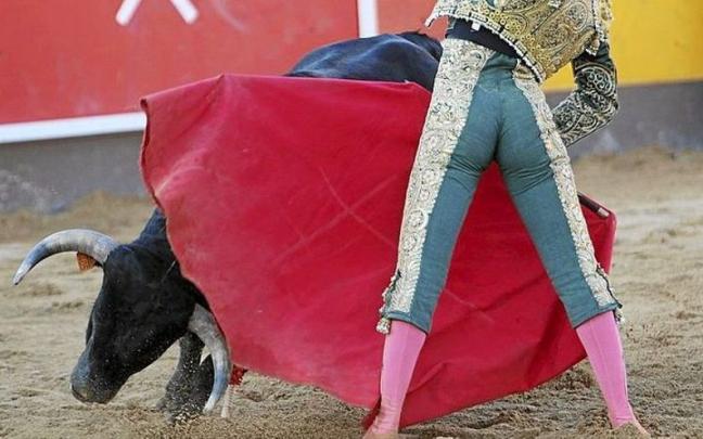 Delgado inicia un molitene ante la brava y humillada acometida del cuarto novillo, ‘Ganchero’.