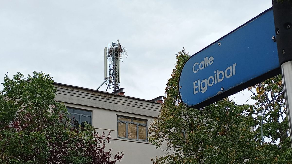El lugar elegido por una pareja de cigüeñas para construir su nido en Vitoria.