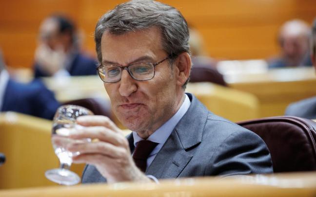 El líder del Partido Popular, Alberto Núñez Feijóo. El líder del Partido Popular, Alberto Núñez Feijóo.