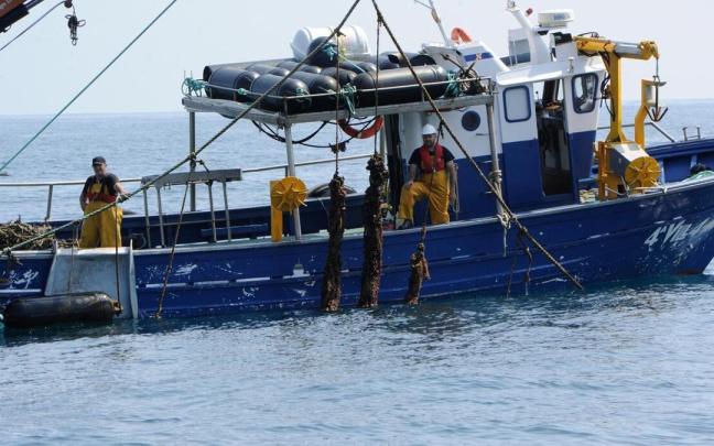 Arrantzales, en el criadero de mejillones ubicado en la franja costera de Mendexa, entre Ondarroa y Lekeitio. Arrantzales, en el criadero de mejillones ubicado en la franja costera de Mendexa, entre Ondarroa y Lekeitio.