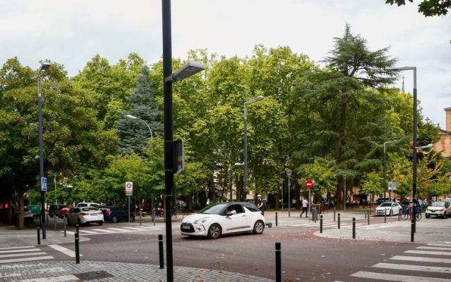 Imagen captada esta manaña en el arbolado de la Plaza de la Cruz.