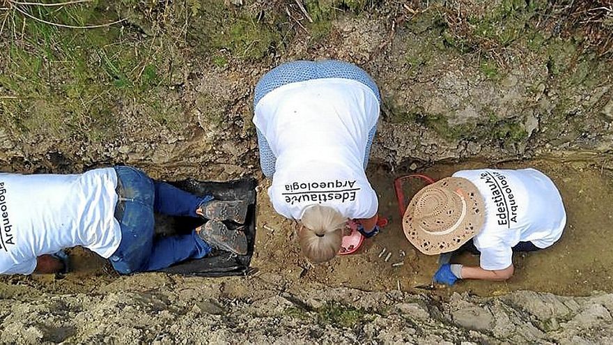 La labor se debe de efectuar de forma muy cuidada.