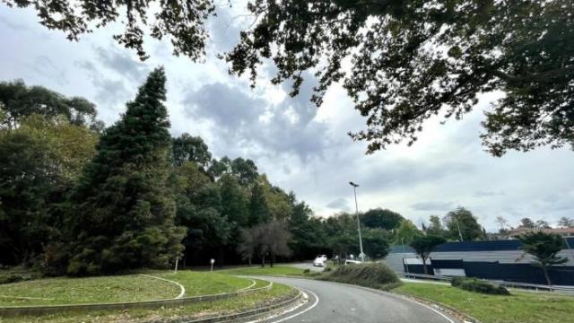 Zona verde por la que pasará el futuro enlace viario.