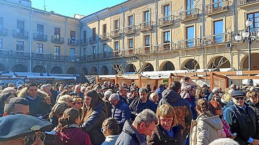 Centenares de visitantes se acercaron a la feria agroalimentaria de la Plaza de Navarra.