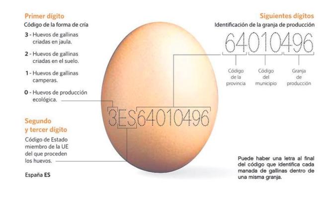 Lo que nos dicen los dígitos de los huevos.