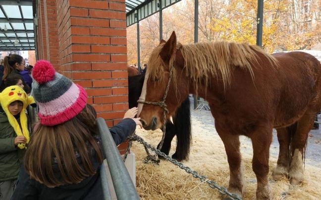 La feria agrícola y ganadera de Leioa despierta todos los sentidos