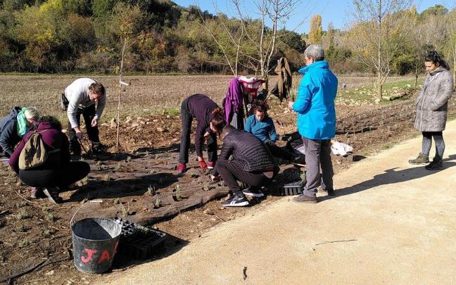 Plantación participativa en Estella-Lizarra.