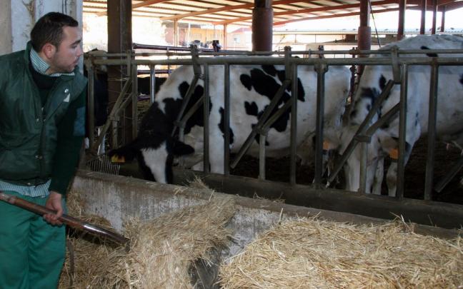 Los productores y ganaderos vascos rechazan el tope al precio de los alimentos. Los productores y ganaderos vascos rechazan el tope al precio de los alimentos.