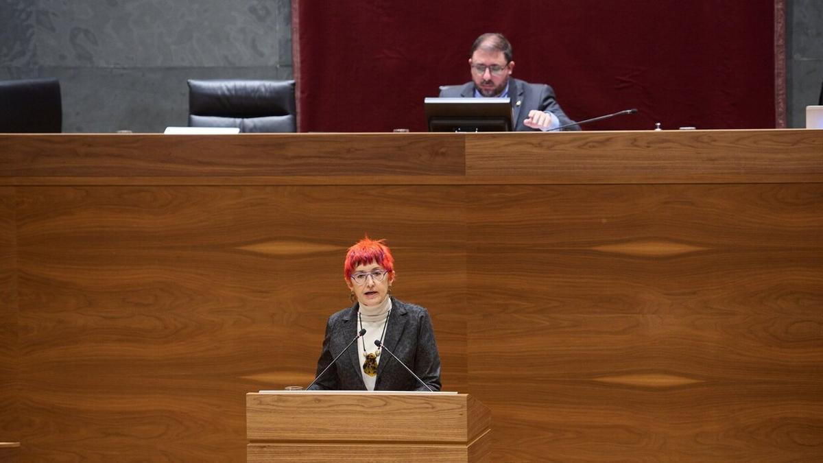 La consejera de Salud, Santos Induráin, este jueves en el Parlamento.