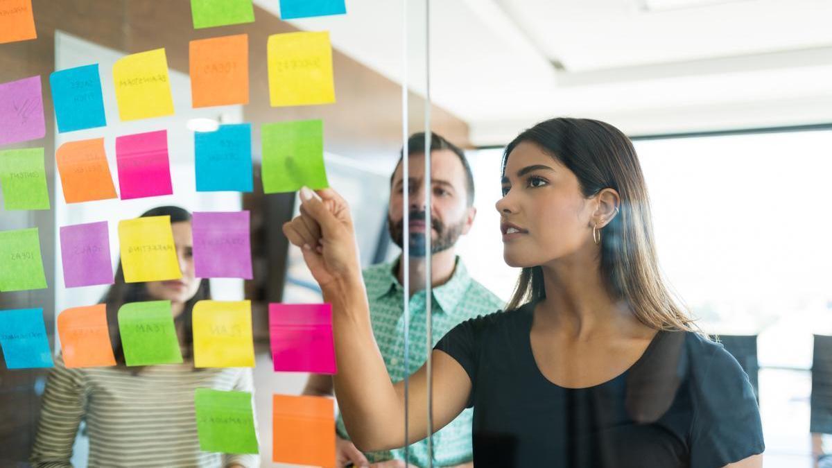 Se consolida el ecosistema conformado por las startups.