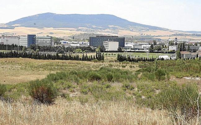 Aspecto que presentaba ayer parte de la parcela sin edificar de Tajonar que Osasuna va a recomprar hoy al Gobierno de Navarra por 6,5 millones de euros y 1,3 de IVA.