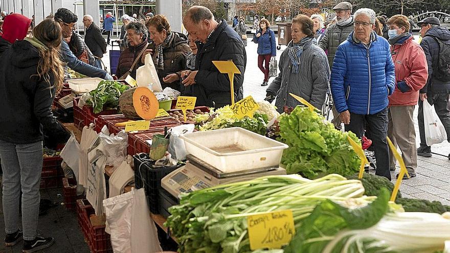 Lerro hauekin batera agertzen den irudian, gida berri honen egileetako batzuk, ‘Dieta vegetariana, ¿qué tengo que saber?’ inzeburua duena.