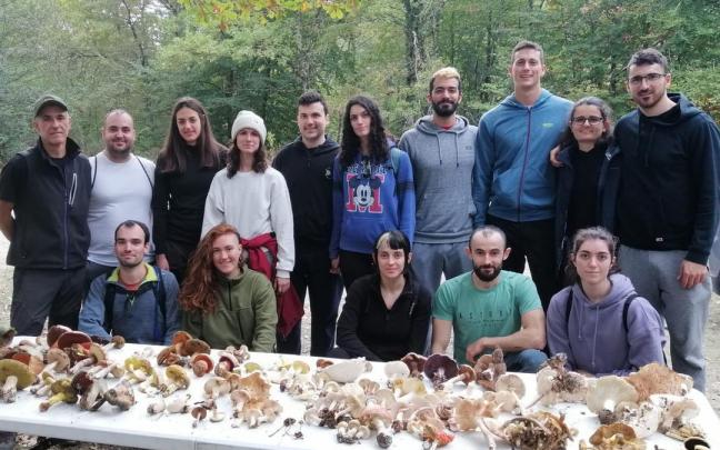 Una cuadrilla con la cosecha de setas recolectadas