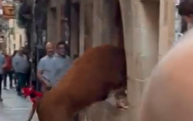 Momento en el que la vaquilla salta al interior de la panadería.