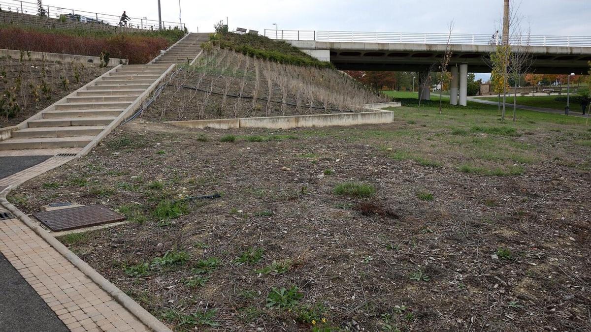 Otro detalle del estado que presenta la zona verde.