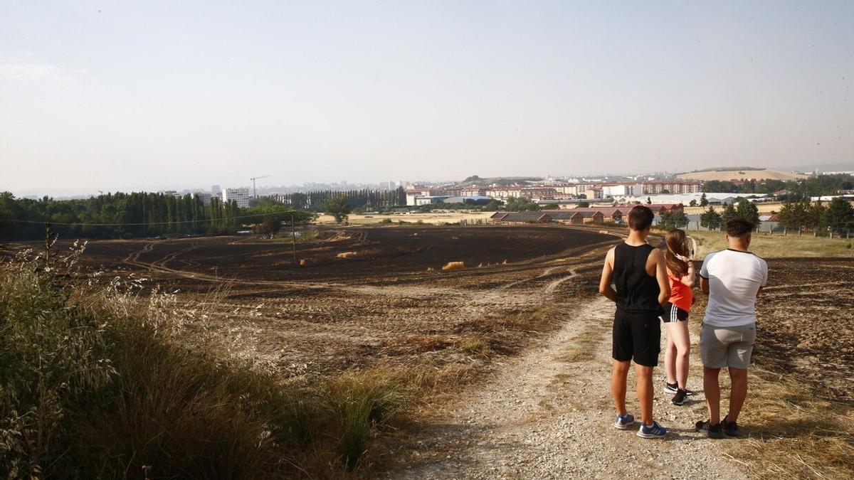 Campo de cultivo quemado el pasado junio en el término de municipal de Berriozar.