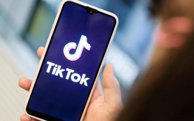 Aplicaci&oacute;n Tik Tok